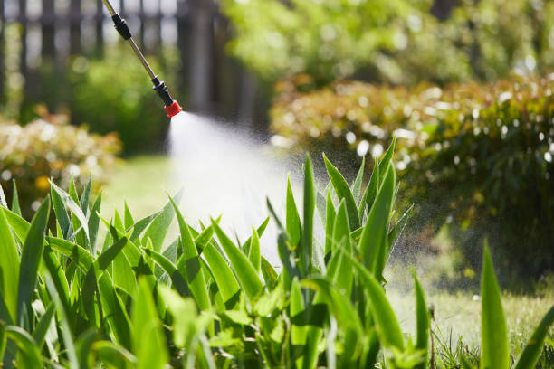 24/7 Emergency Mosquito Control experts in Hartford, KY